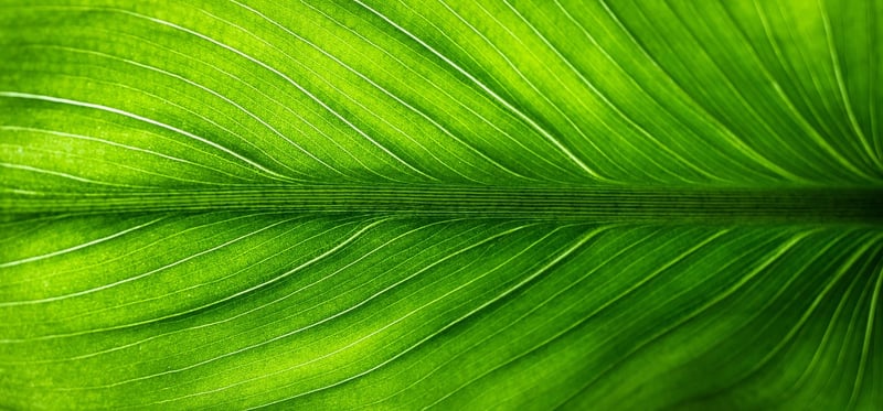 Eco-Friendly Upcycling
